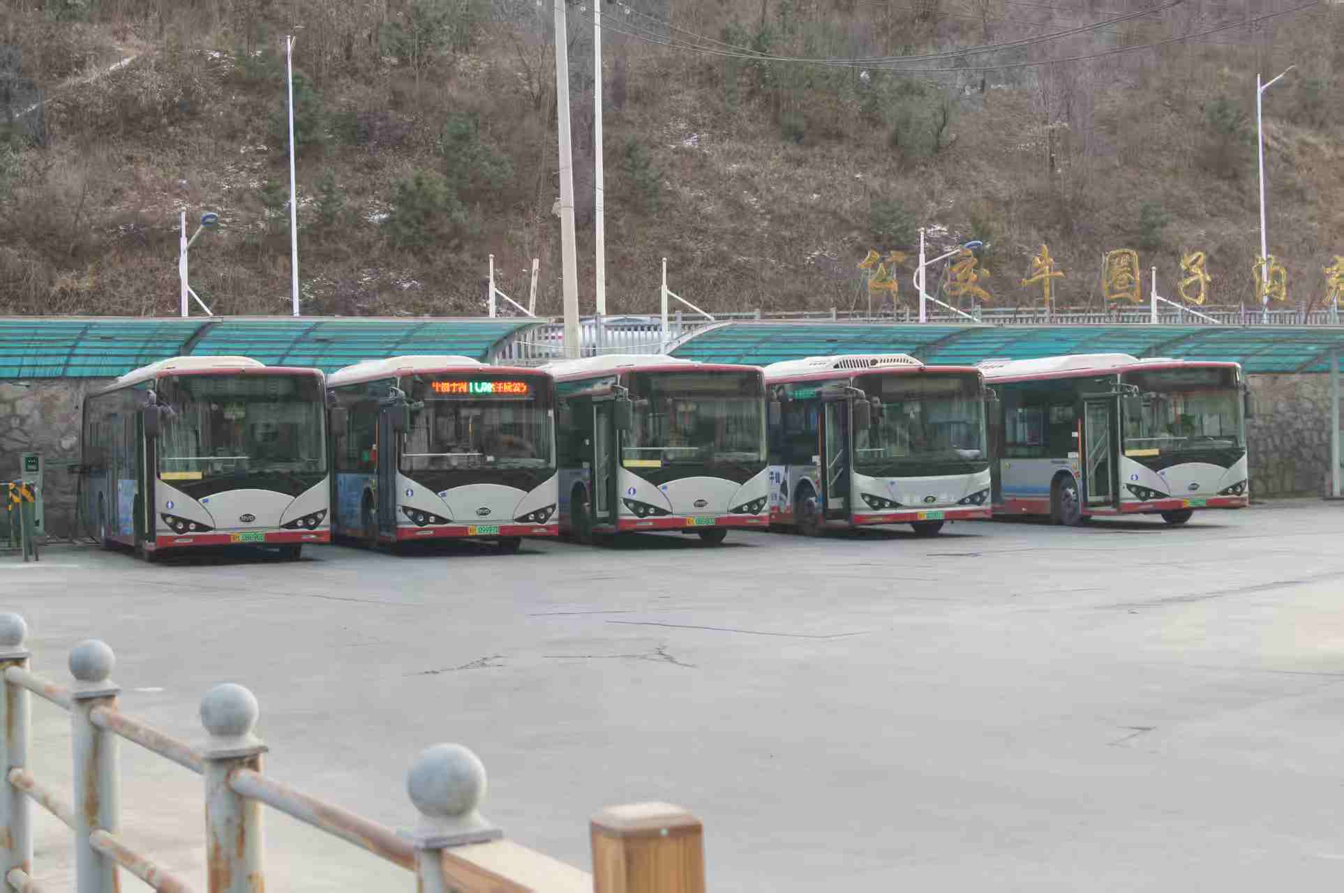 资讯图片